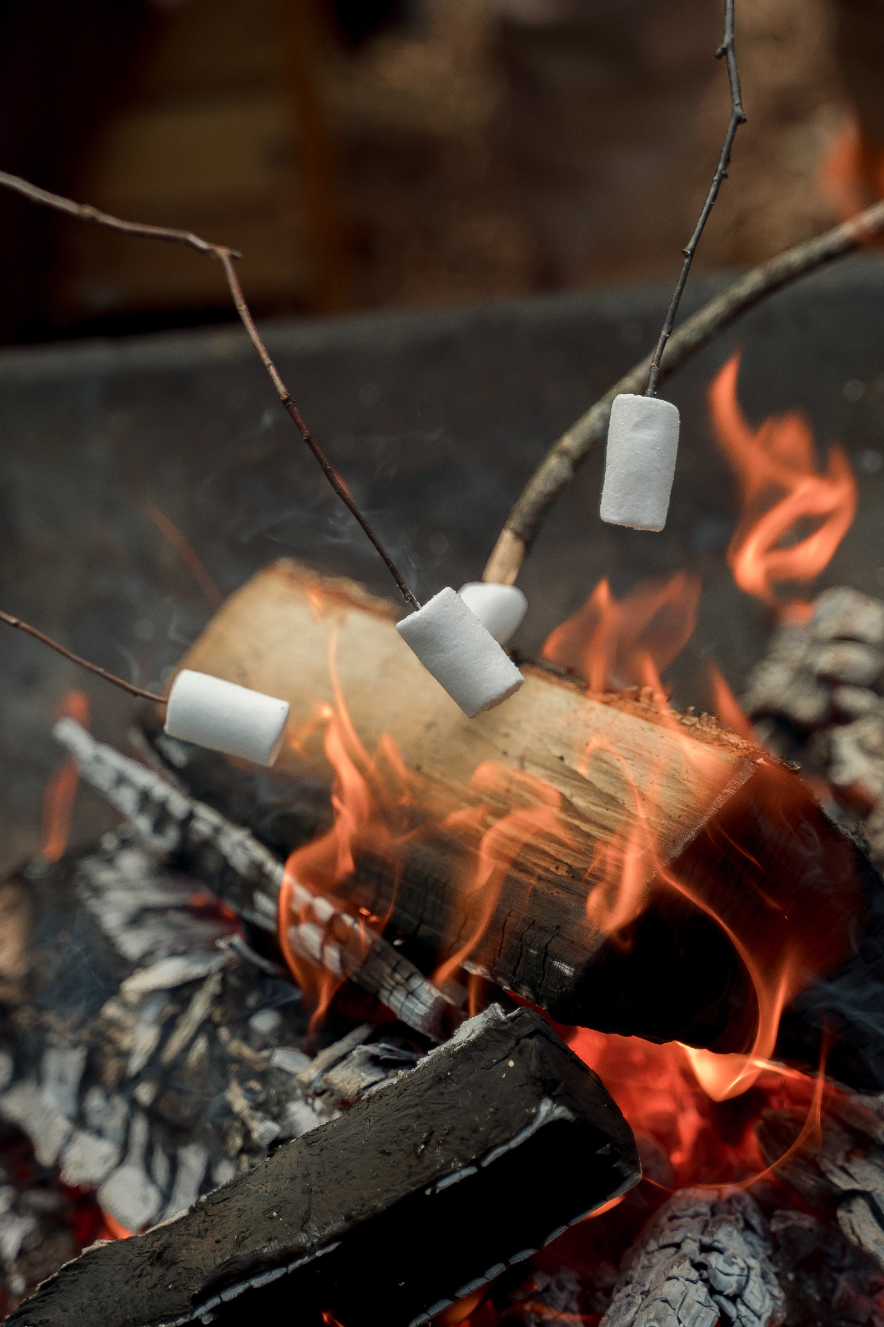 Creating a Fire Pit