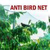 NEW Anti Bird Netting Pond Green Net Protect Tree Crops Plant Fruit Garden Mesh