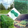 NEW Anti Bird Netting Pond Green Net Protect Tree Crops Plant Fruit Garden Mesh